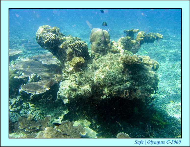 2008 - 07 - Redang - 035